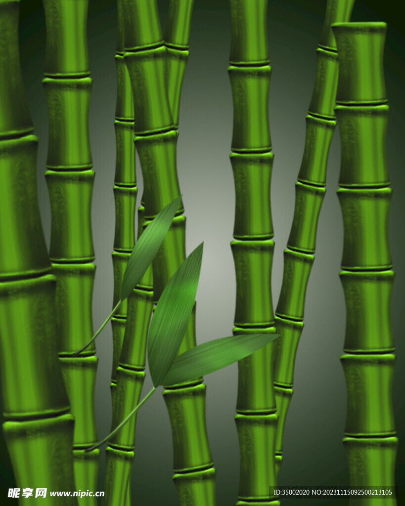 竹子背景素材高清手绘