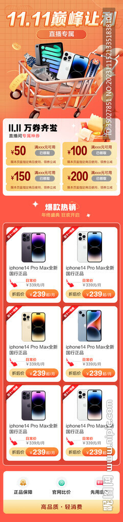 双11