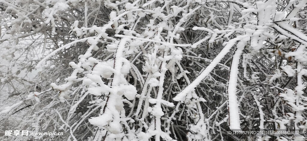 雪景一角