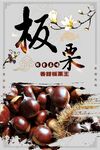 板栗