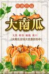 大南瓜