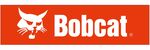bobcat猫