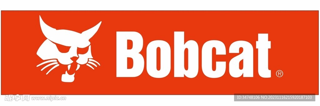 bobcat猫