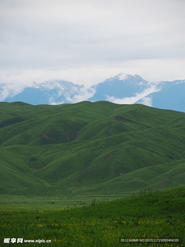 那拉提草原