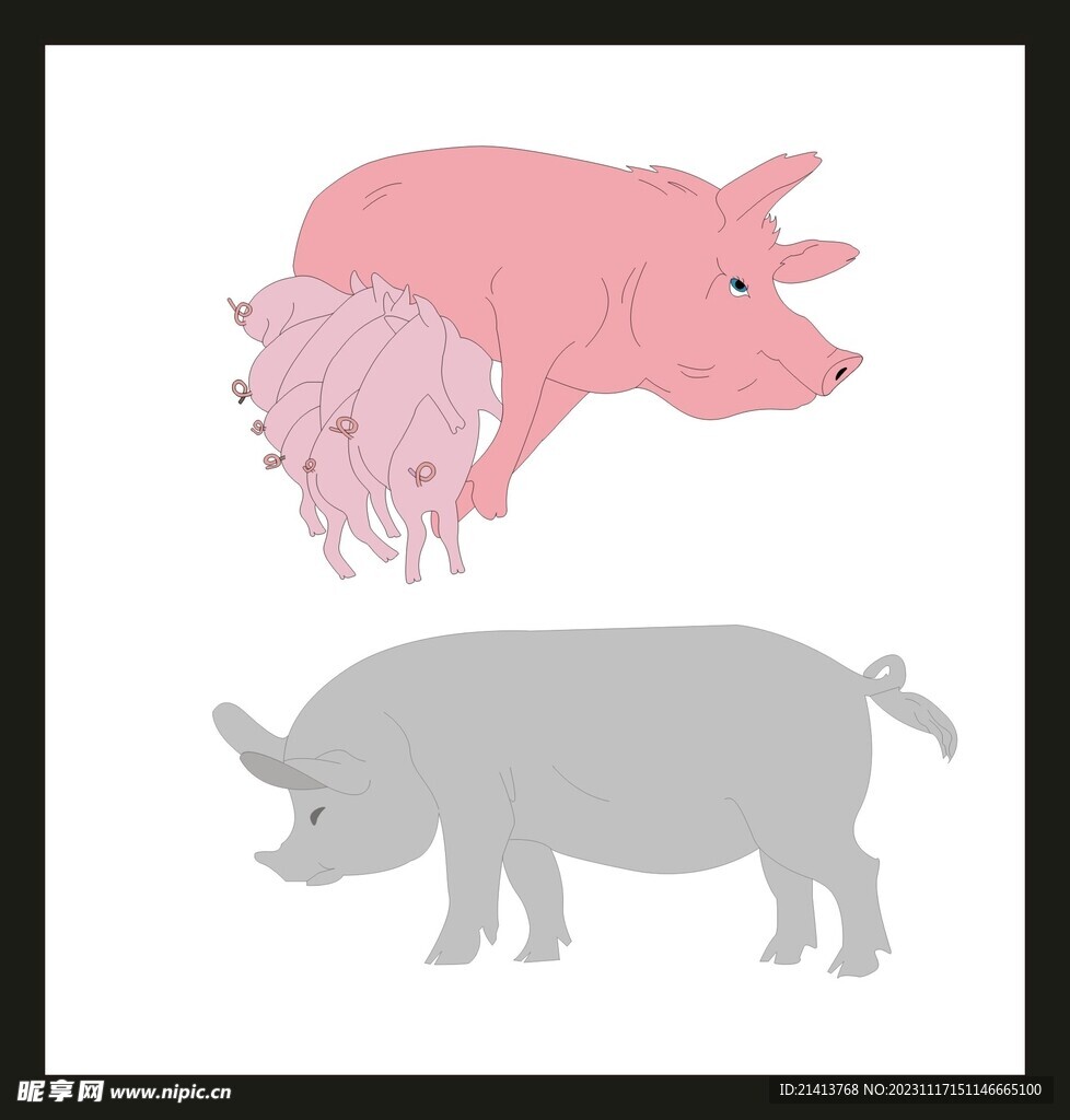 手绘线描小猪 
