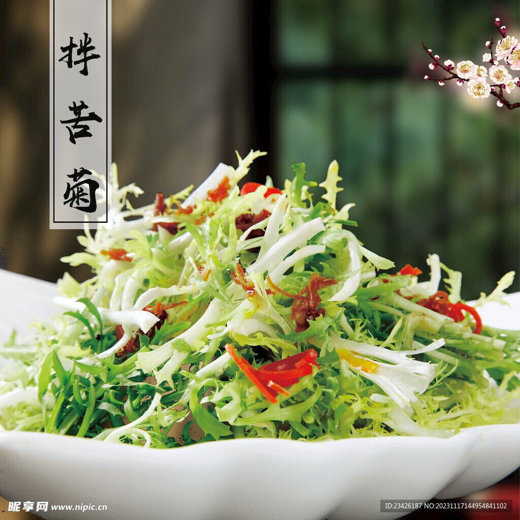 拌苦菊