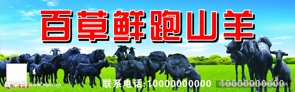 黑山羊