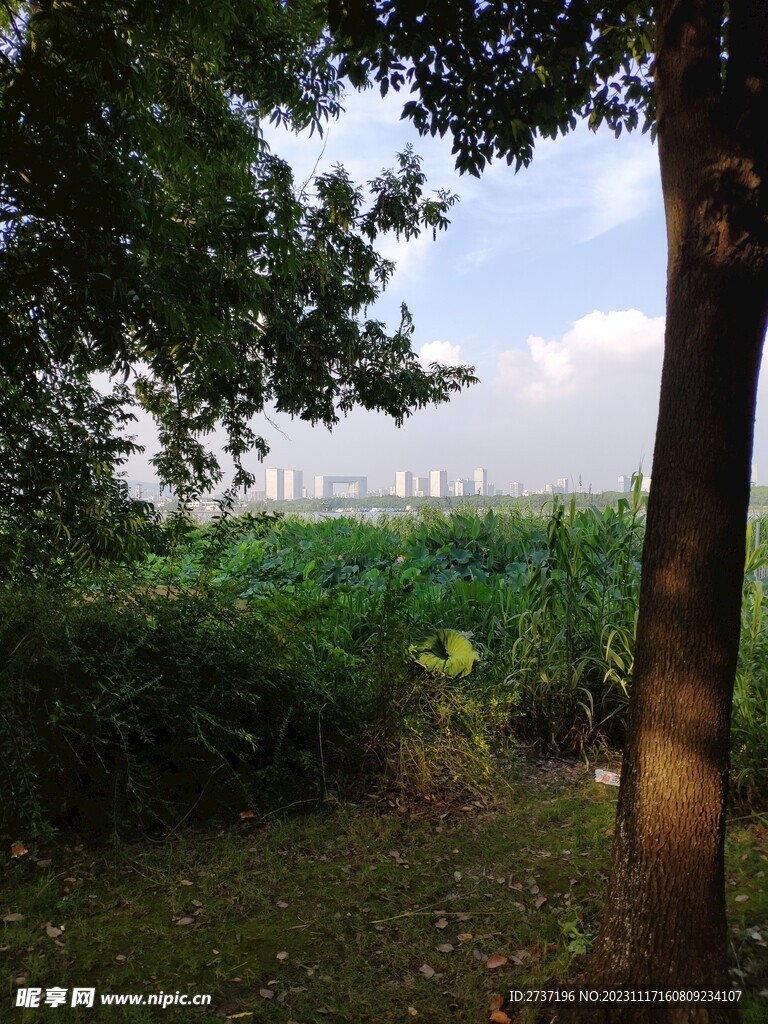 湖边