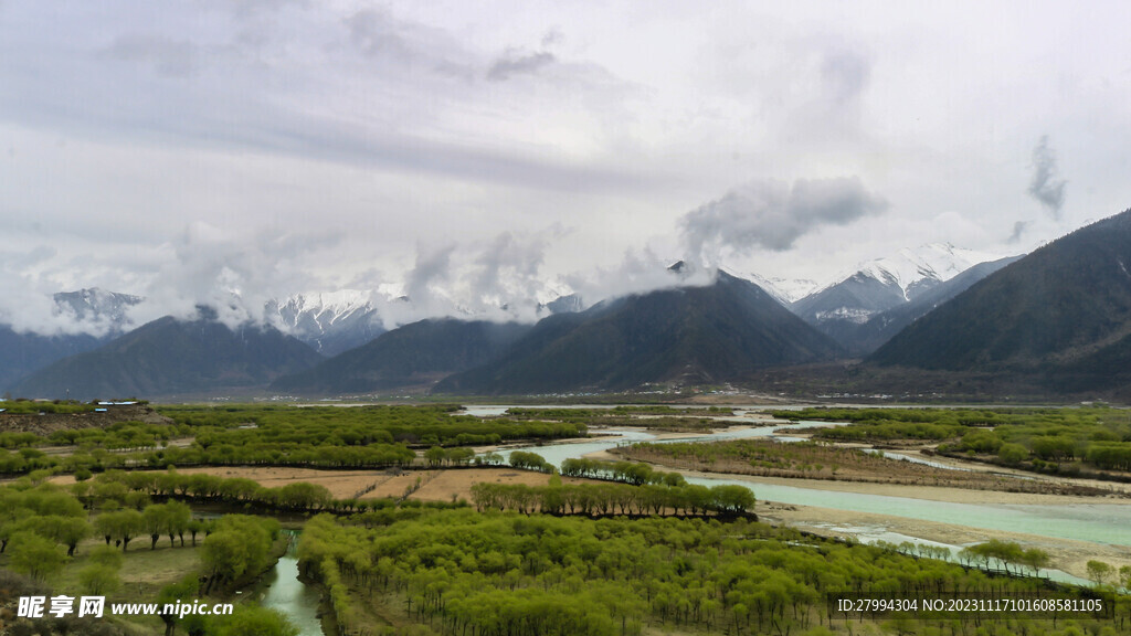 尼洋河风光