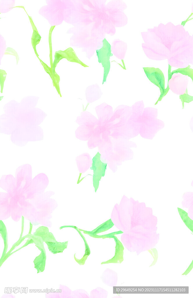 数码