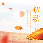 卡通主图模板 