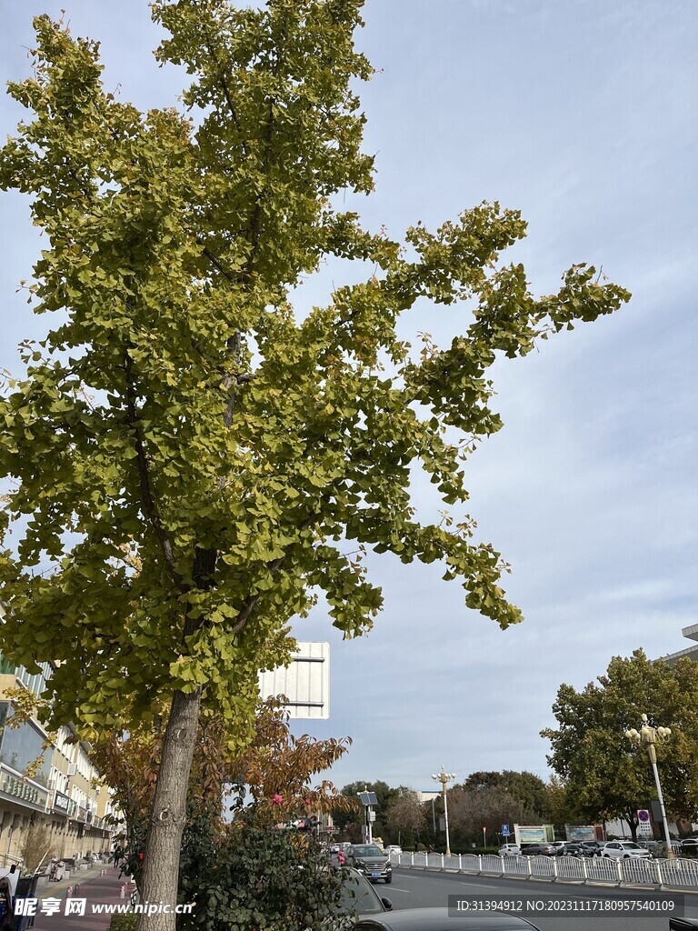蓝色天空