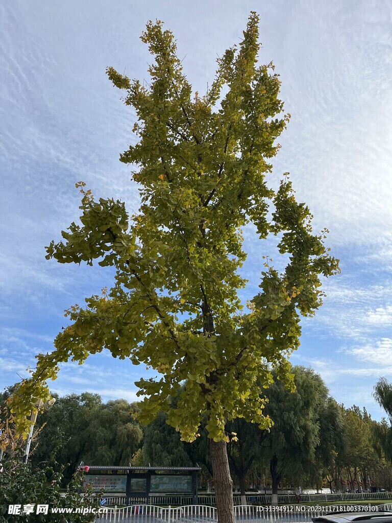 蓝色天空