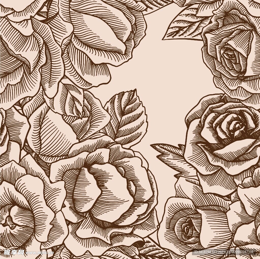 手绘玫瑰花纹背景