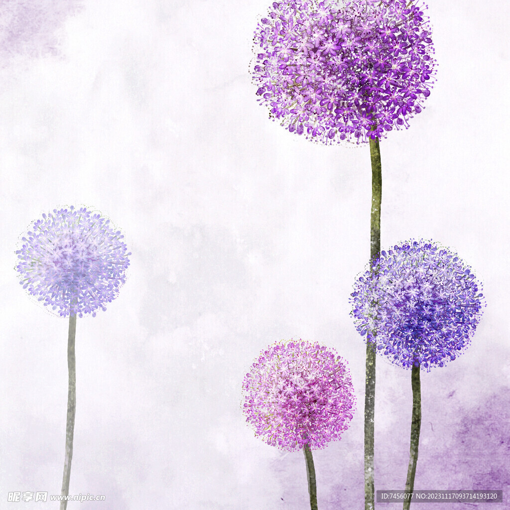 紫色花球蒲公英挂画装饰画