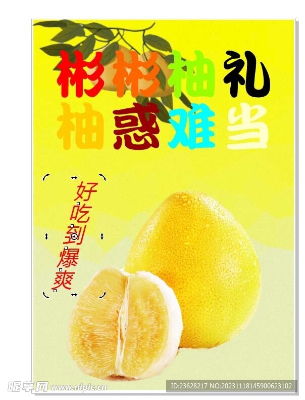 柚子