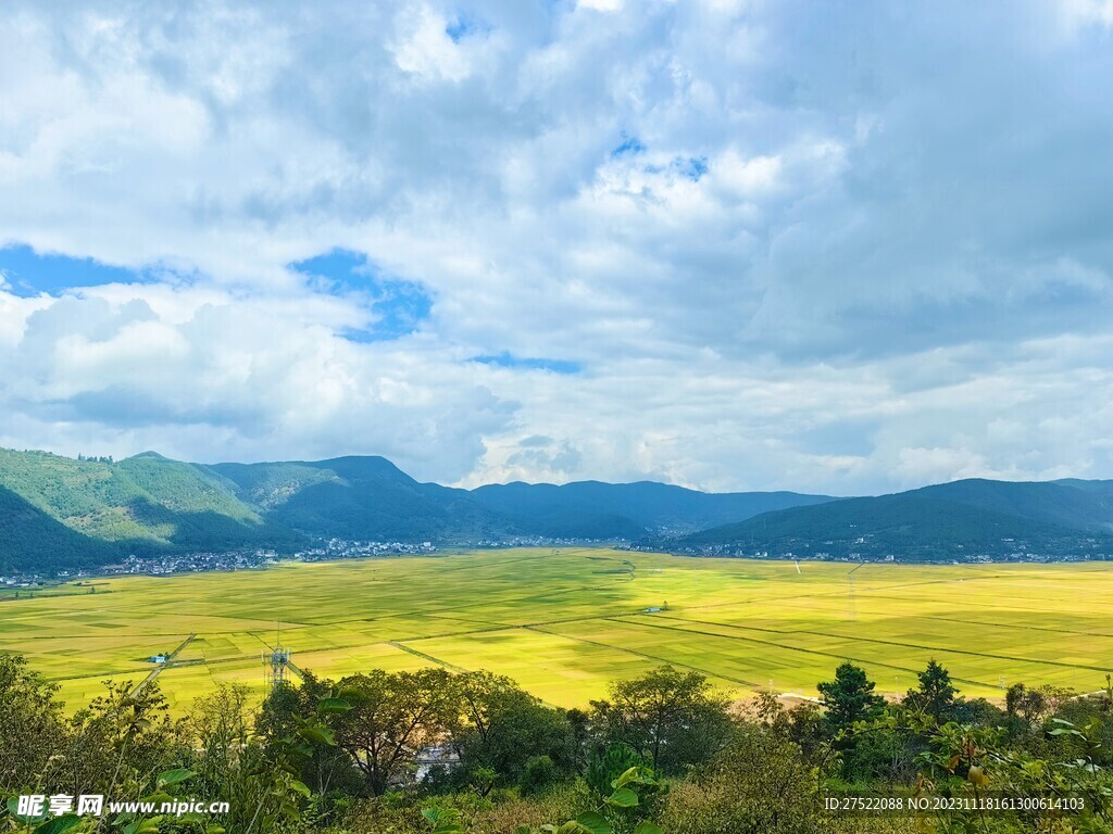 稻田美景