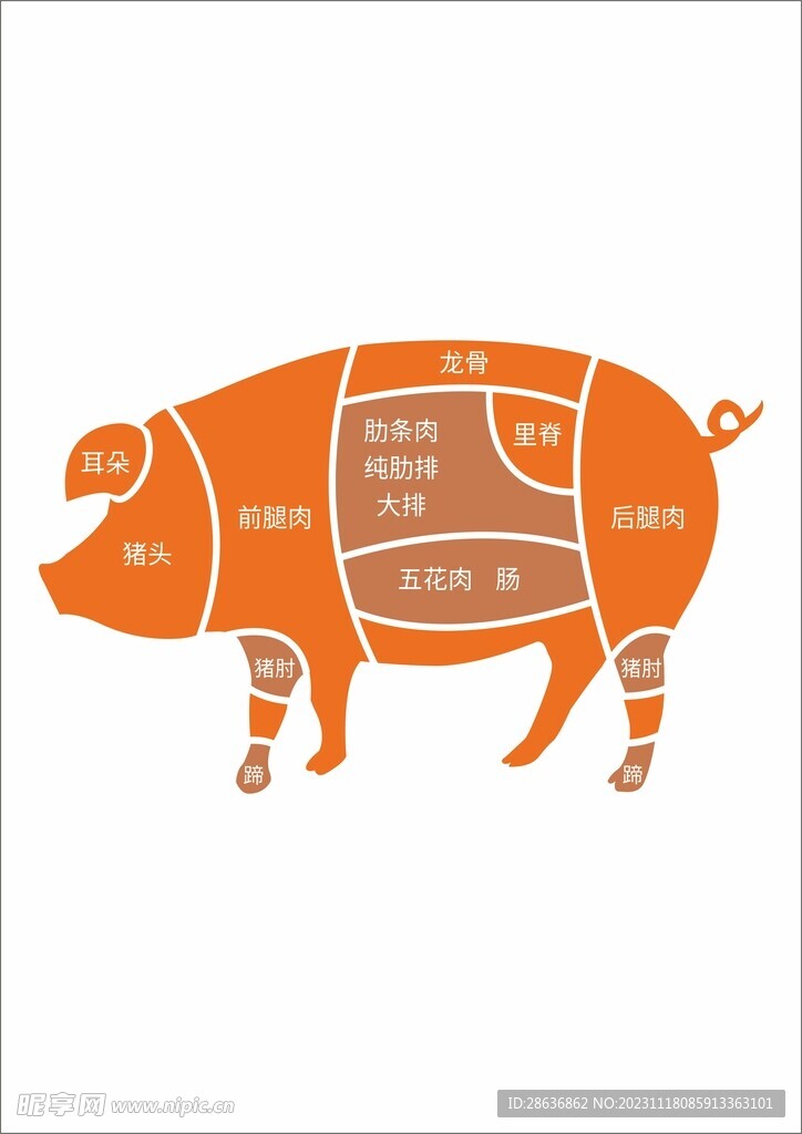 猪部位分解图元素