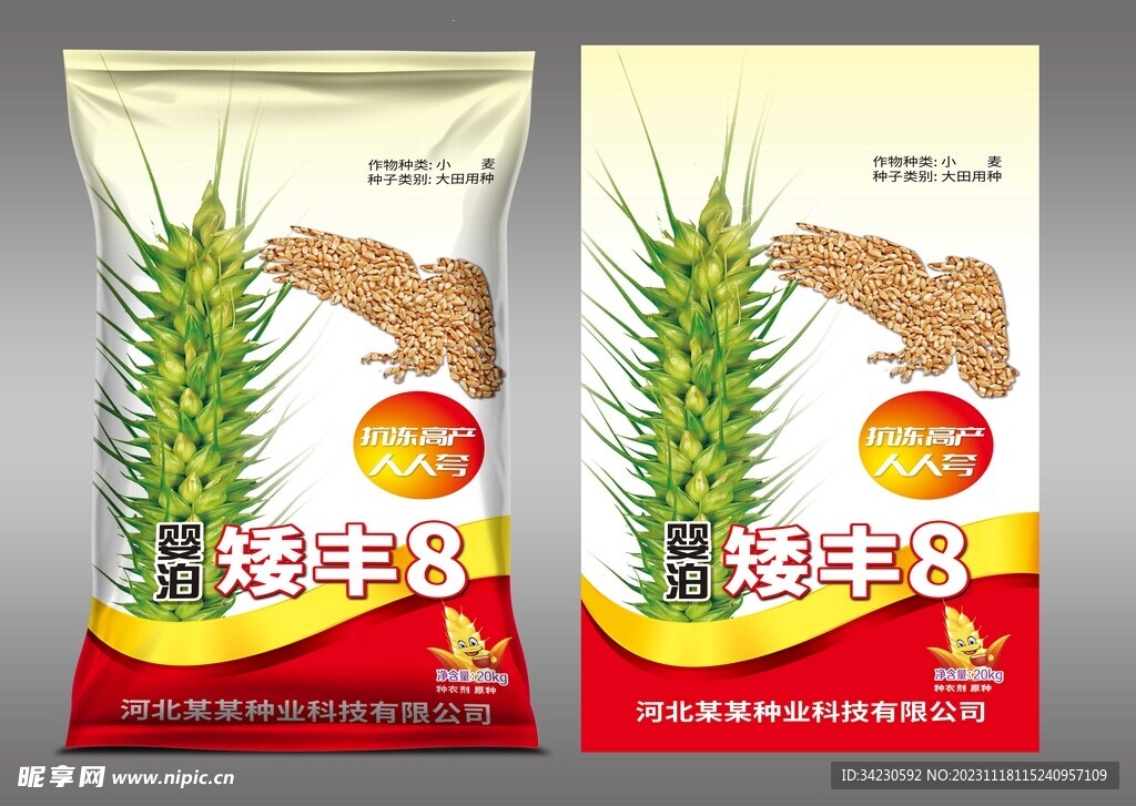 小麦种子包装平面