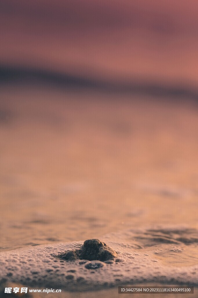 泡沫素材