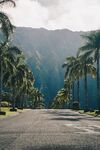 道路风景