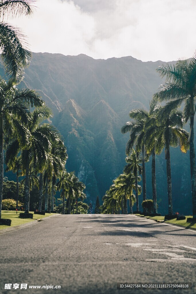 道路风景