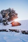 雪中木屋和冬日太阳