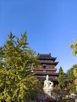 毗卢寺