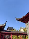 毗卢寺  