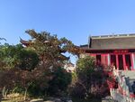 毗卢寺