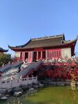 毗卢寺  