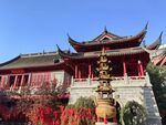 毗卢寺