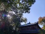 灵谷景区 