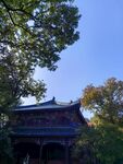 灵谷寺    