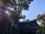 灵谷寺   