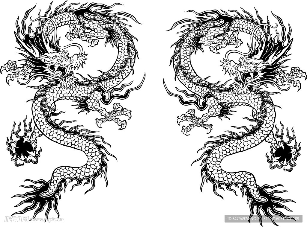 双龙纹路