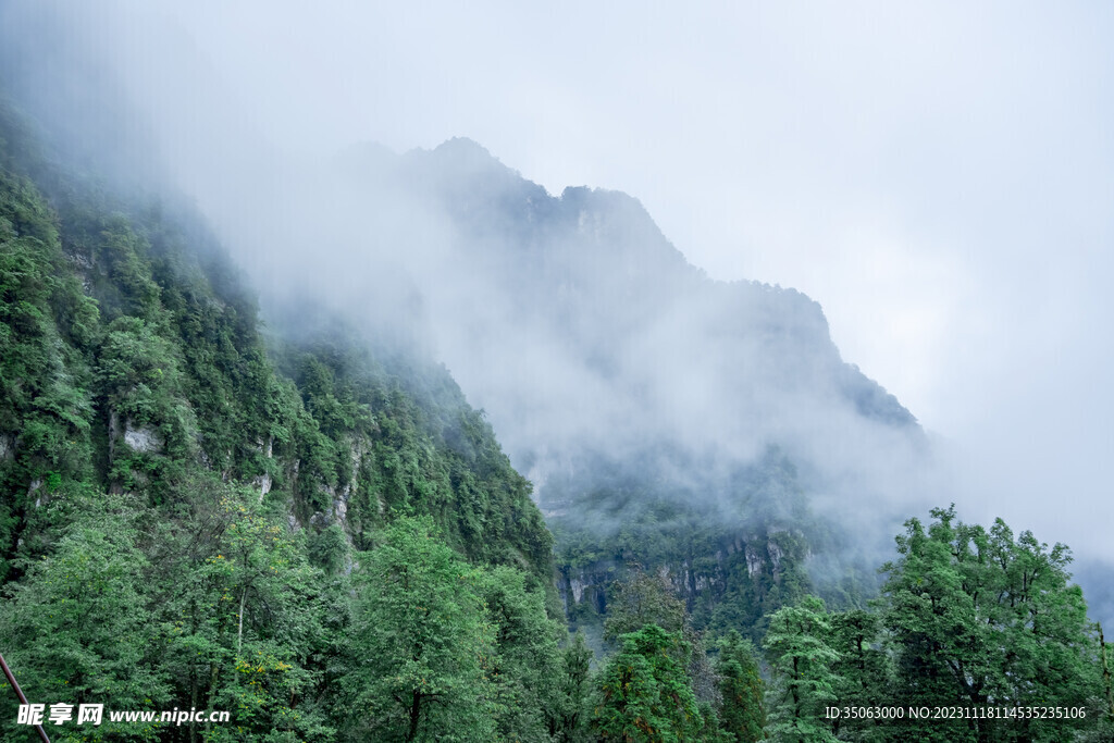 雾中的峨眉山