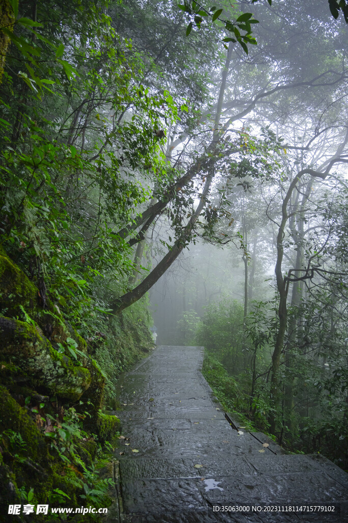 山间小路