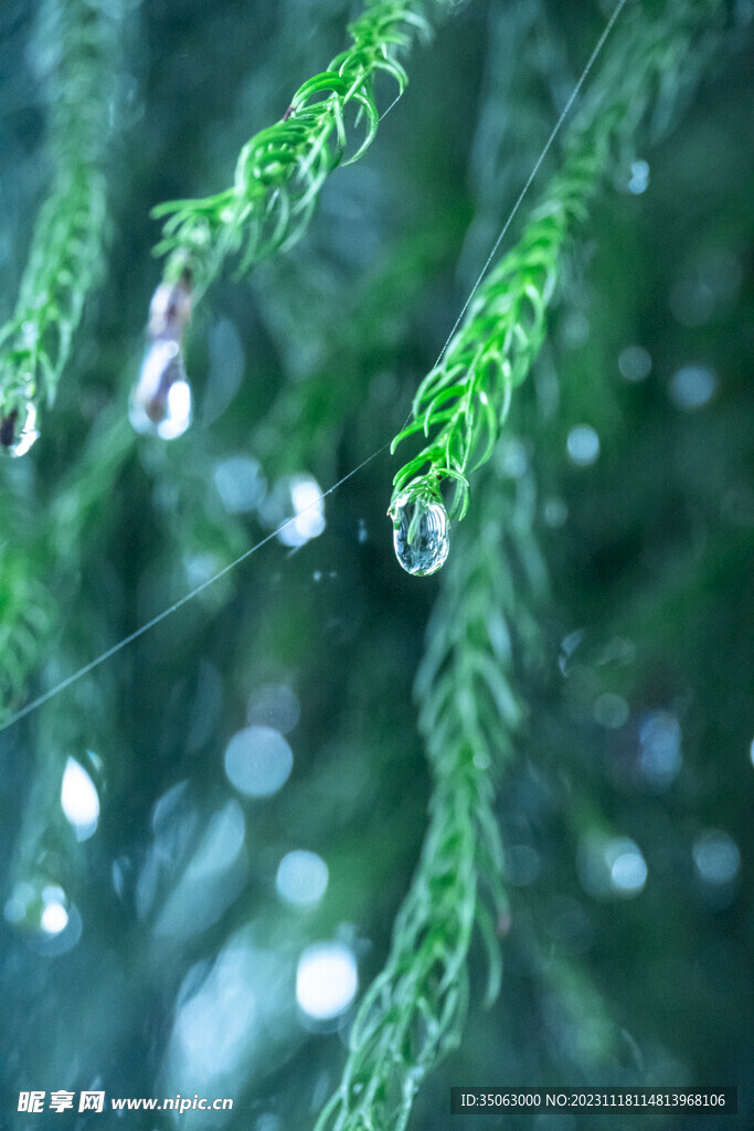 雨滴