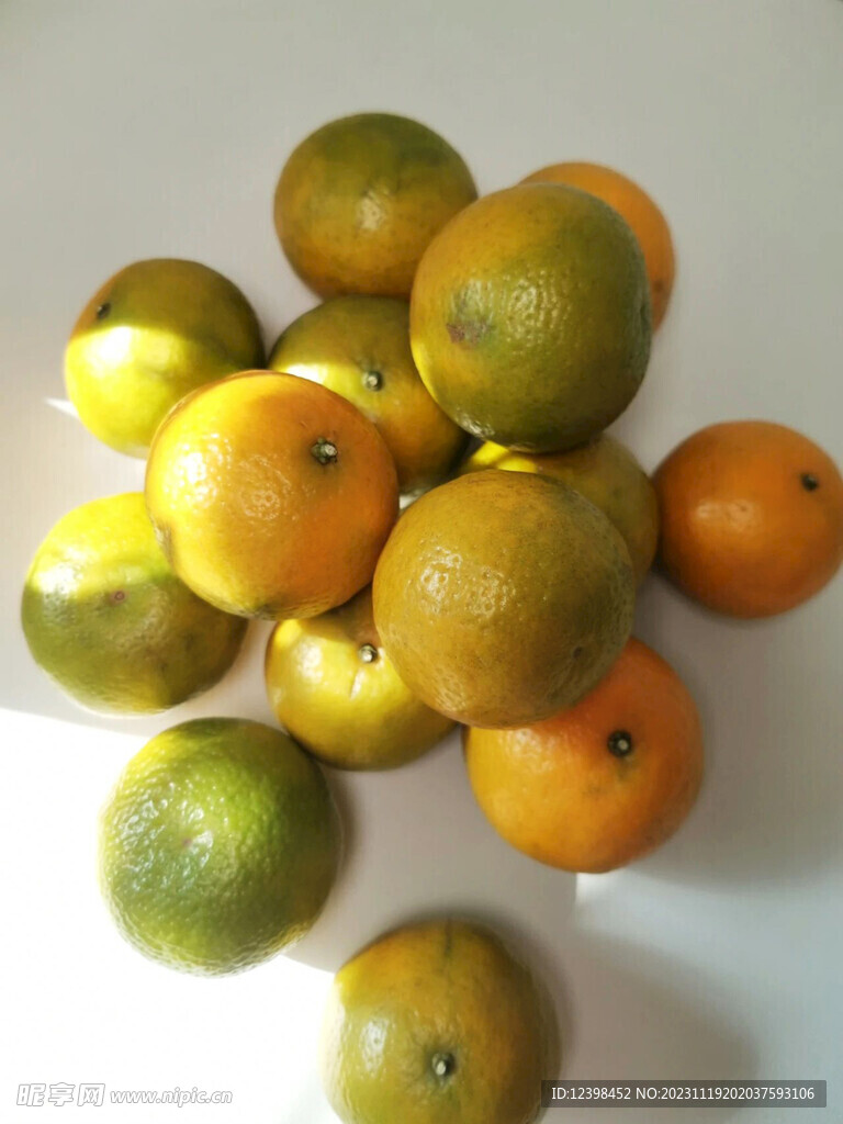 柑橘
