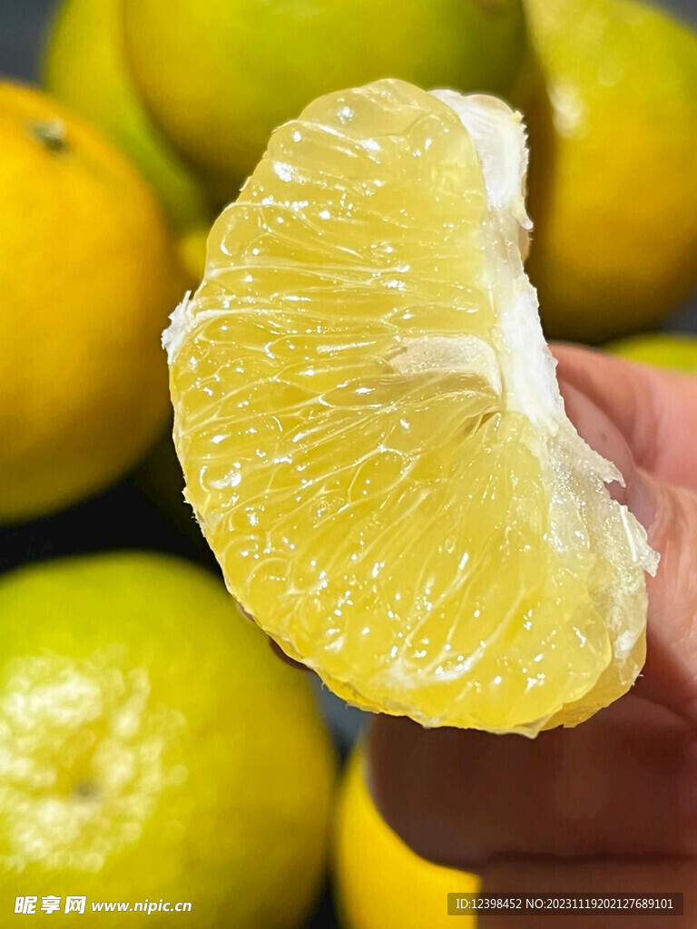 柑橘