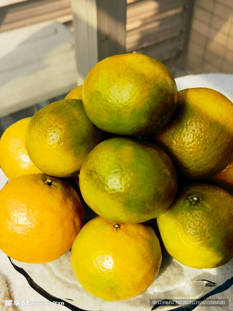 柑橘