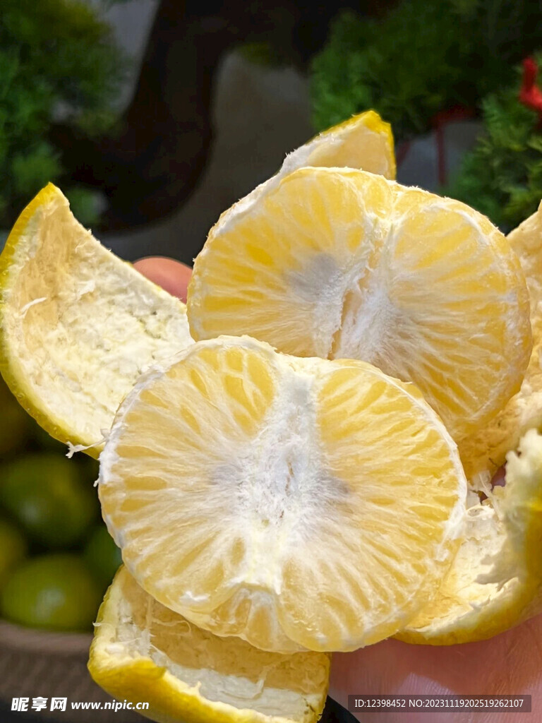 柑橘