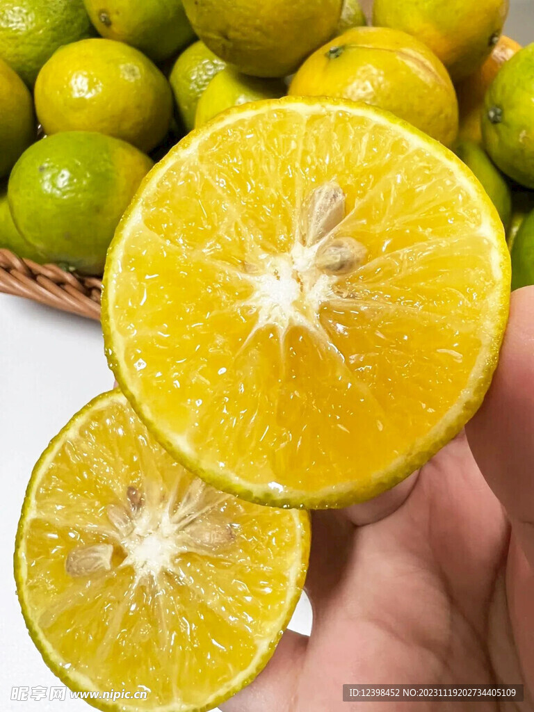皇帝柑