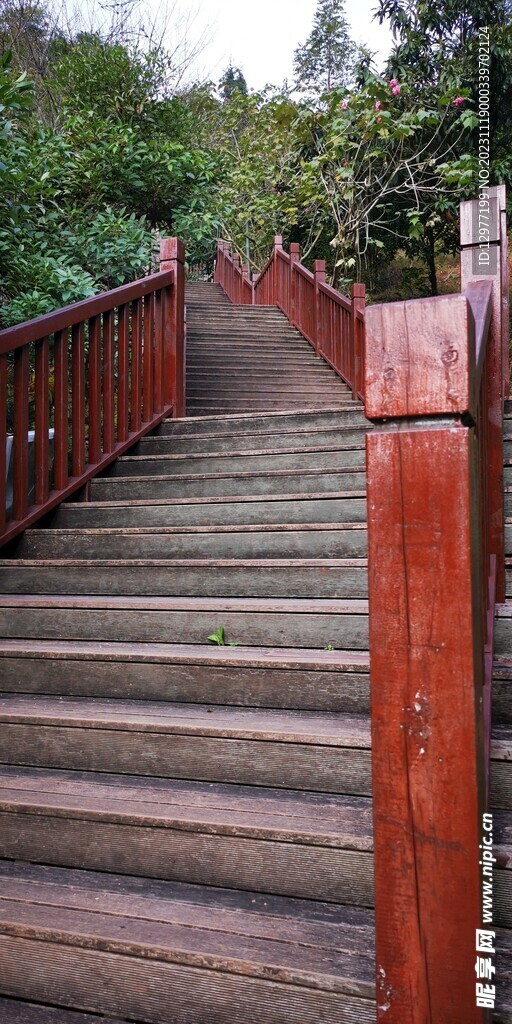 公园木制梯阶