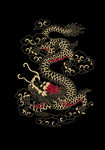 去底中国古典龙图腾