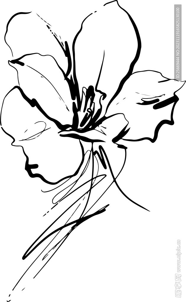线稿花