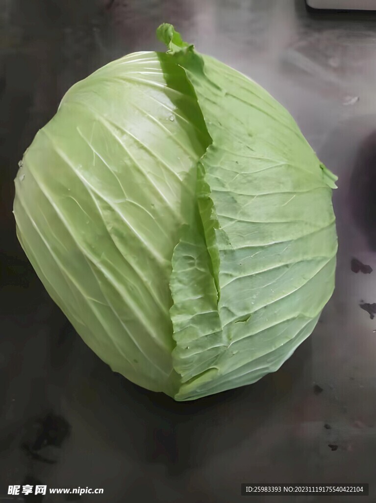 高丽菜