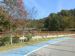 公园游步道