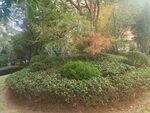 小区绿化